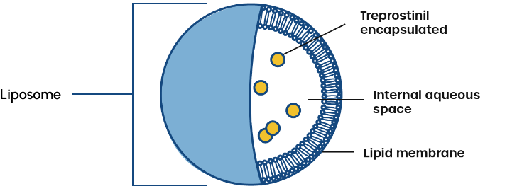 Diagram of a liposome. It shows a circular lipid membrane encapsulating an internal aqueous space with treprostinil molecules inside.